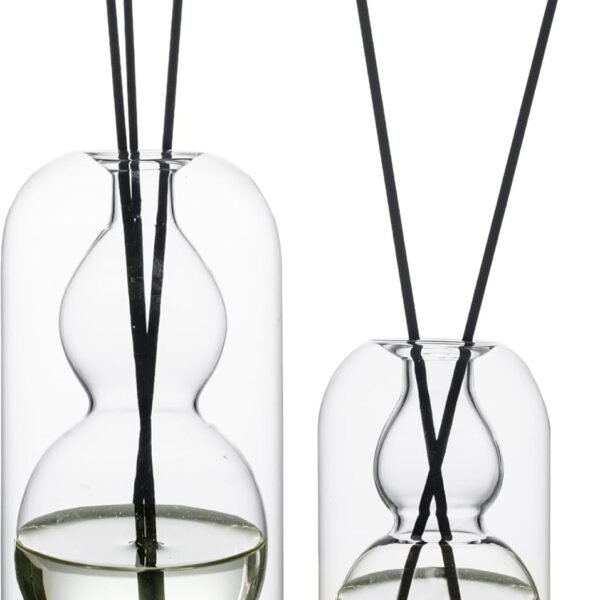 Empty Glass Fragrance Reed Diffuser Bottles,for Essential Oil, with 16pcs Black Reed Sticks,Minimalist Decor,2pcs/Set.