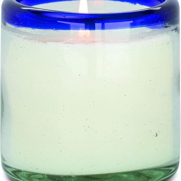 Scented Candles Coastal  Collection Artisan Candle in Hand-Blown Glass, 9 Ounces, Salted Blue Agave